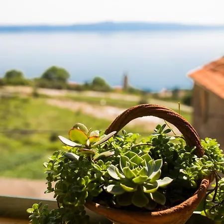 Old Stone House Podgora
