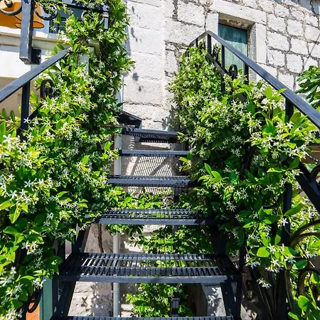 Old Stone House Villa Podgora