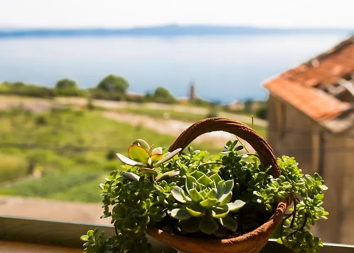Old Stone House Podgora (Split-Dalmatia)